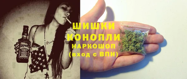индика Куйбышев