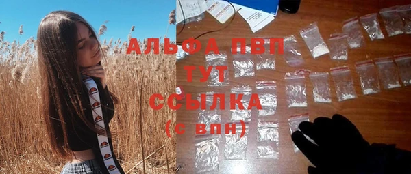 индика Куйбышев