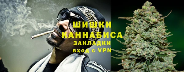 индика Куйбышев