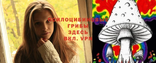 индика Куйбышев